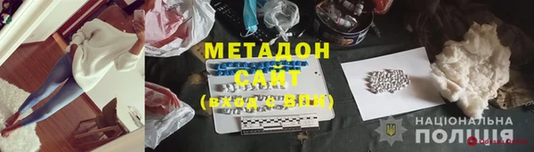 прущие грибы Бородино